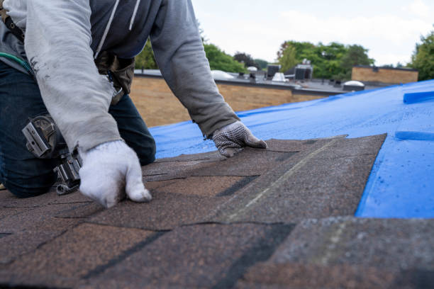 Best New Roof Installation  in Culver, IN